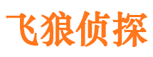 民丰外遇出轨调查取证